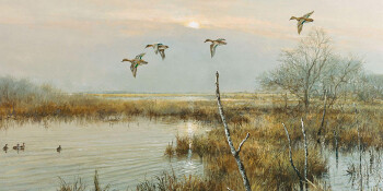 Strijkende wintertalingen